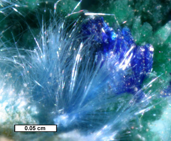 Large Cyanotrichite Image