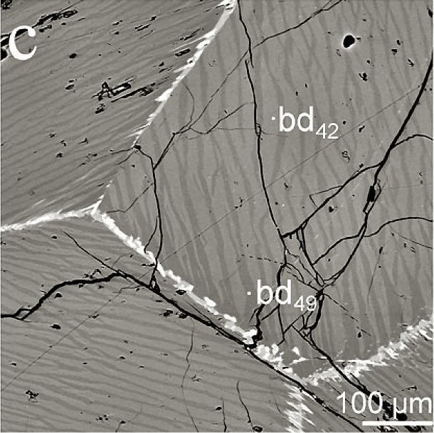 Large Paarite Image