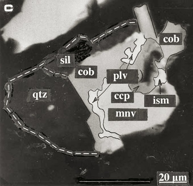 Large Paolovite Image