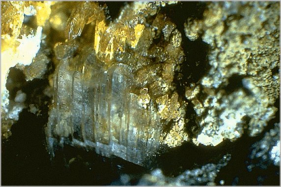 Large Parahopeite Image