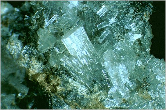 Large Parascholzite Image