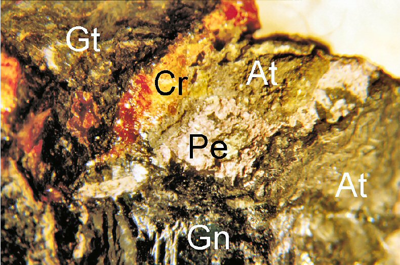 Large Petterdite Image