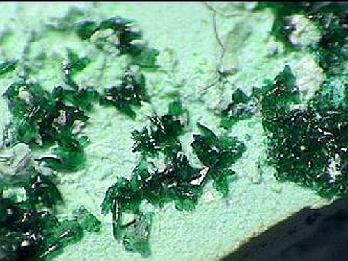 Large Pseudomalachite Image