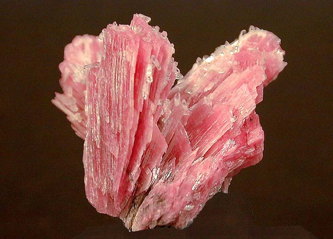 Large Rhodonite Image