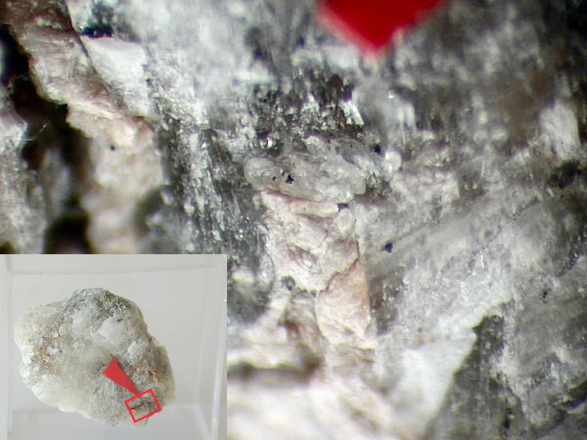 Large Rimkorolgite Image