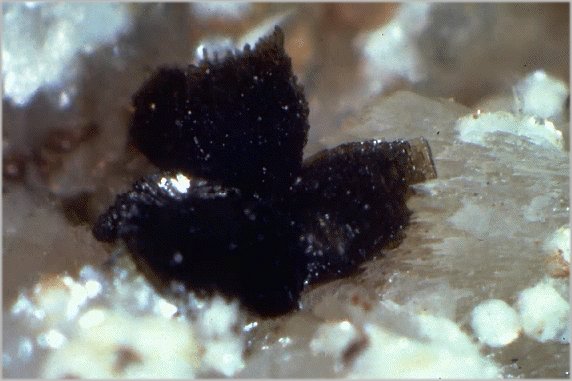 Large Roscherite Image