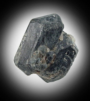 Large Sapphirine Image