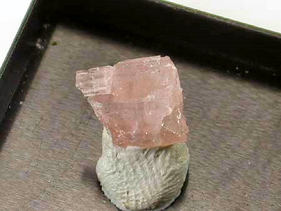 Large Shomiokite-(Y) Image