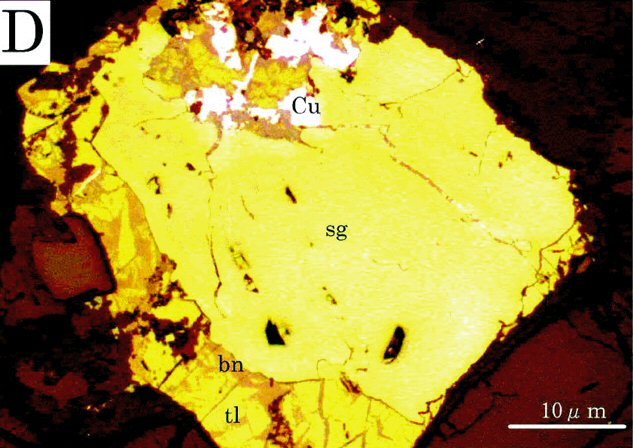 Large Sugakiite Image