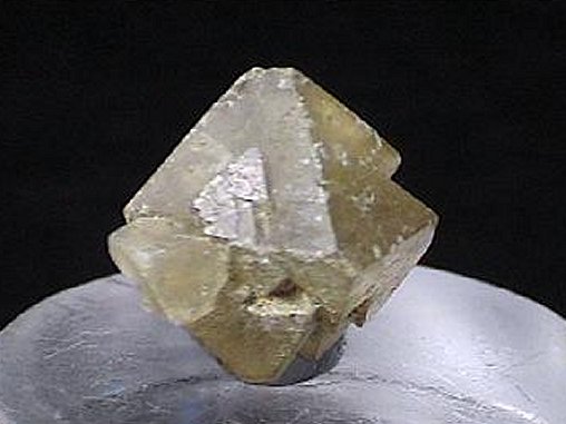 Large Sulphohalite Image