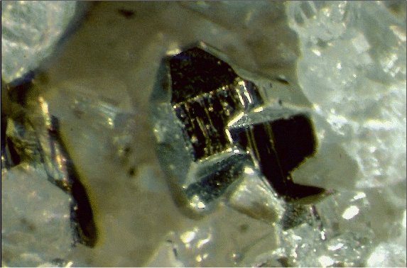 Large Tellurium Image