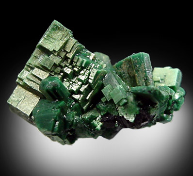 Large Torbernite Image