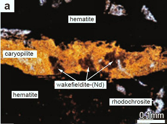 Large Wakefieldite-(Nd) Image