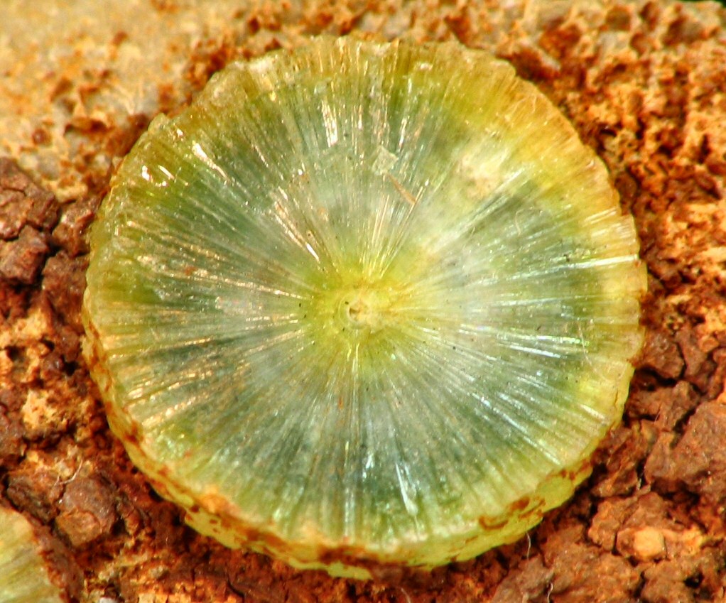 Large Wavellite Image