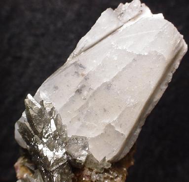 Large Whewellite Image