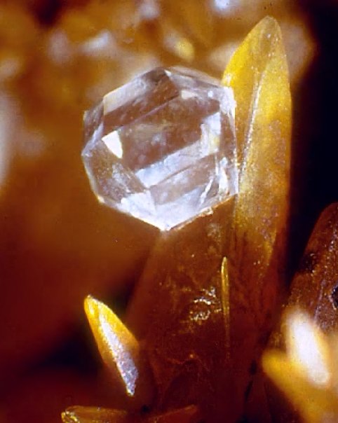 Large Whitlockite Image