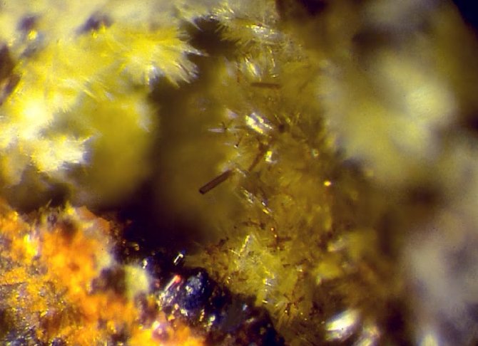 Large Wyartite Image